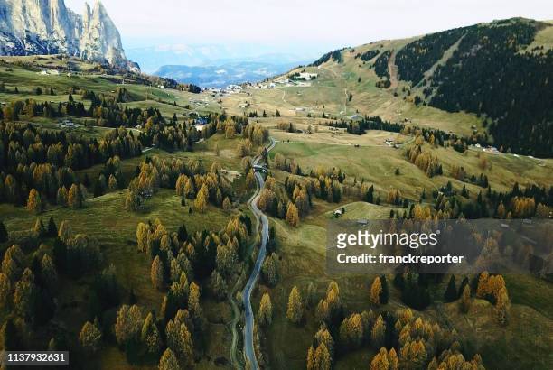 trees in alpe di siusi - spring valley road stock pictures, royalty-free photos & images