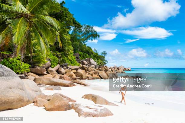 a beautiful woman walks on a tropical beach - seychellen stock-fotos und bilder