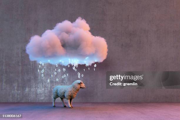 modern digital consumer - funny sheep stock pictures, royalty-free photos & images