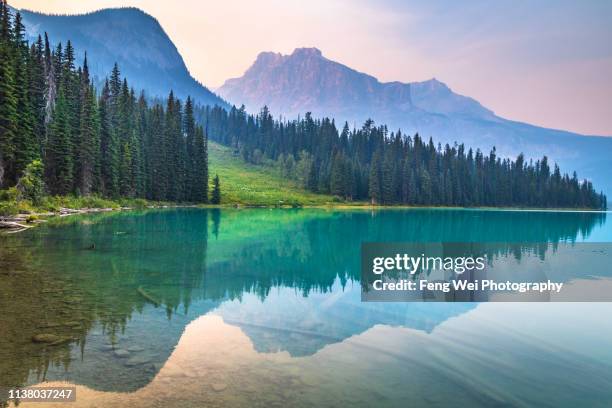 dusk @ emerald lake, yoho national park, british columbia, canada - kanada landschaft stock-fotos und bilder