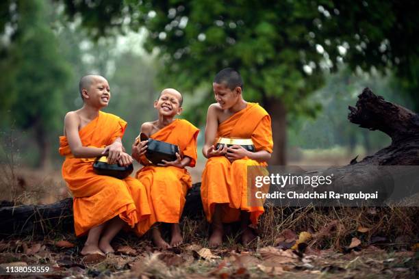 smiling novice monk thailand timber forest background, novice monk thailand sit on timber  smiling and laughing happily. - alms stock pictures, royalty-free photos & images