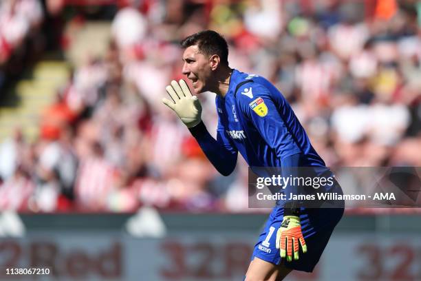 Costel Pantilimon of Nottingham Forest during the Sky Bet Championship fixture between Sheffield United and Nottingham Forest at Bramall Lane on...