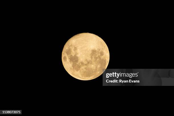 super worm moon - worm stock pictures, royalty-free photos & images