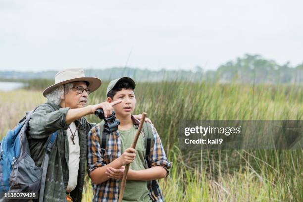 hispanic boy hiking with grandfather, bird watching - extended family outdoors spring stock pictures, royalty-free photos & images