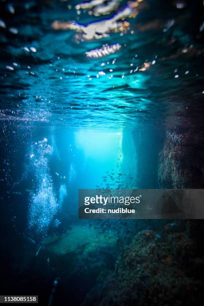 diver between cracks - ray fish stockfoto's en -beelden