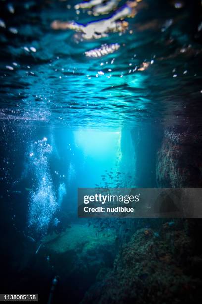 diver between cracks - underwater cliff stock pictures, royalty-free photos & images