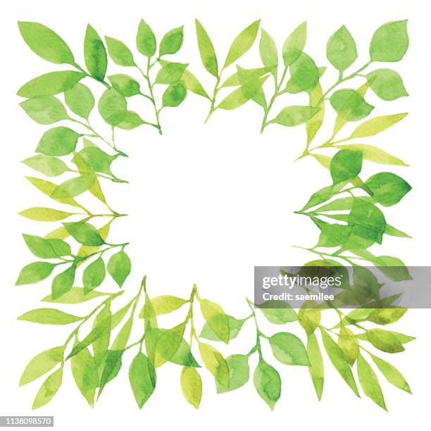 ilustrações, clipart, desenhos animados e ícones de quadrado verde do frame da filial da aguarela - ramo parte de uma planta