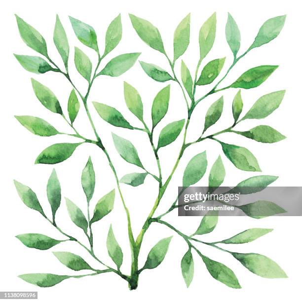 watercolor square tree - gardening stock illustrations