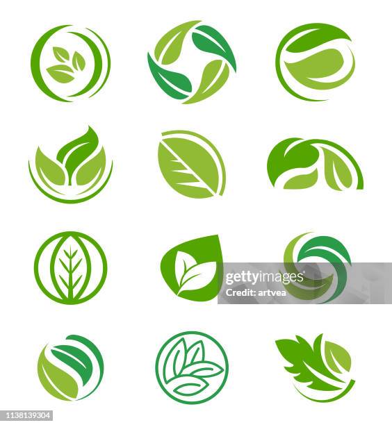 creative leaf inspiration vector design template. - leaf logo stock illustrations