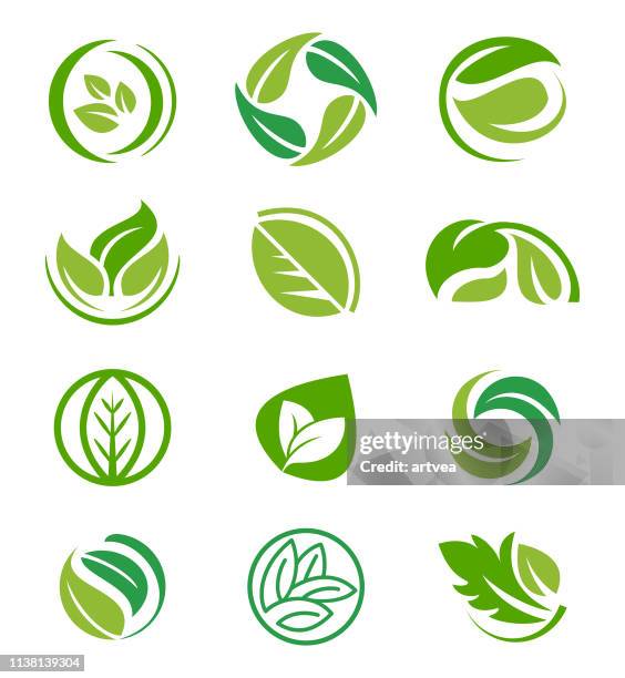 creative leaf inspiration vector design template. - environment friendly logo stock illustrations