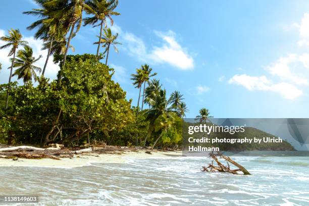 manchineel bay, isla providencia, departamento san andrés colombia - providencia colombia stock pictures, royalty-free photos & images