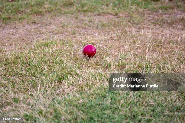 the cricket ball - the oval cricket ground stock pictures, royalty-free photos & images