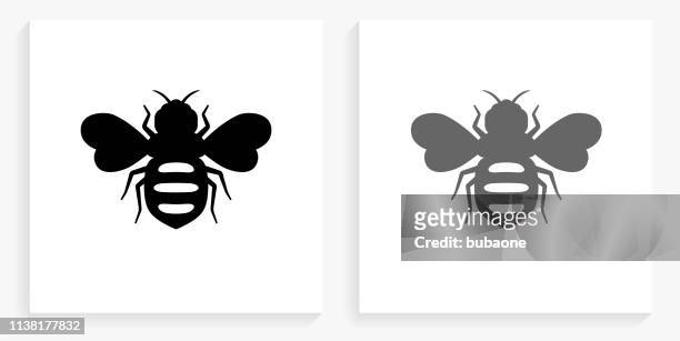 honey bees black and white square icon - bee stock illustrations