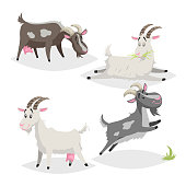 Cute different colors and breeds goats. Cartoon flat style farm animals collection. Eating, sleeping, standing and jumping goats. Vector illustration isolated on white background.