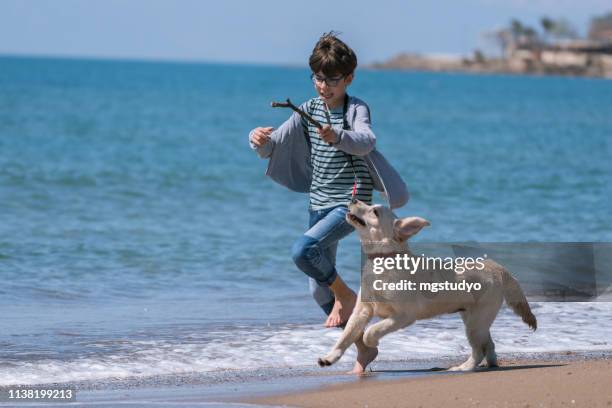 glücklicher junge läuft mit ihrem hund am strand. - boy running with dog stock-fotos und bilder