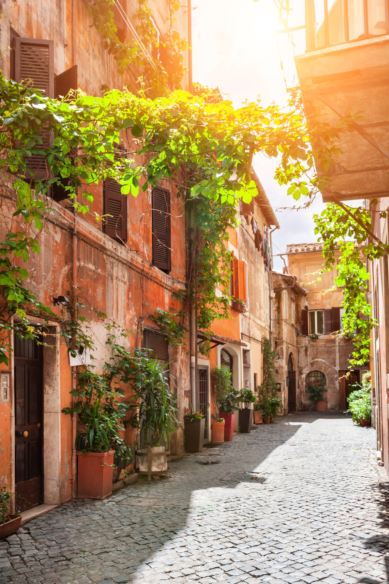 trastevere summer