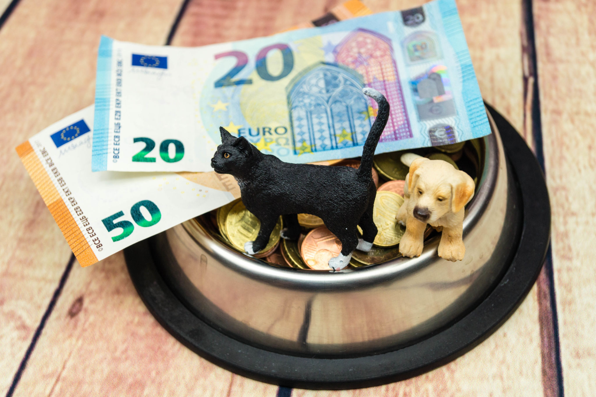 dog care costs