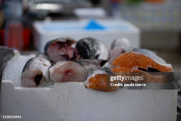 atlantic salmon and hake at bolhao market - hake stock pictures, royalty-free photos & images