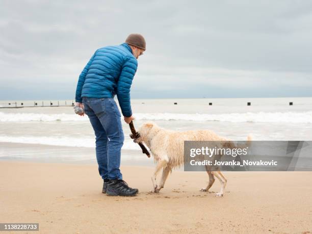 senior man playing fetch con dog on beach - hairy old man fotografías e imágenes de stock