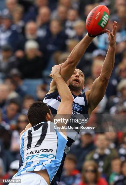 James Podsiadly of the Cats marks during the round seven AFL match between the Geelong Cats and the North Melbourne Kangaroos at Skilled Stadium on...