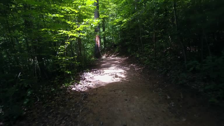 Trail Was Rough 3,159 Rough Trail Stock Videos, Footage, & 4K Video Clips - Getty Images
