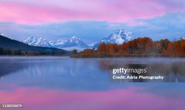 mt.rainier at sunrise - mount rainier nationalpark stock-fotos und bilder
