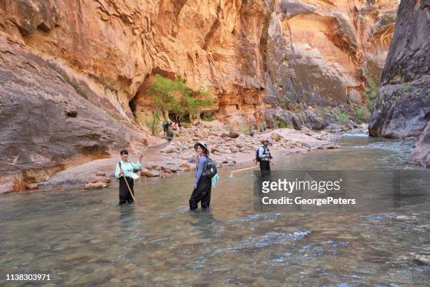 pregnant woman hiking the zion narrows with husband and mother-in-law. - virgin river stock pictures, royalty-free photos & images