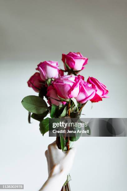 Hand Picked Roses 5,540 Hand Holding Roses Stock Photos, High-Res Pictures, and Images ...