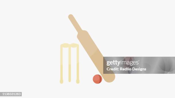 Cricket Tournament Kit Icon High-Res Vector Graphic