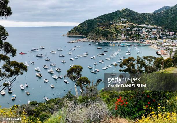 View from Avalon harbor from the Catalina Island ridge top, about 1 hour away from the Los Angeles coast, on April 20, 2019.