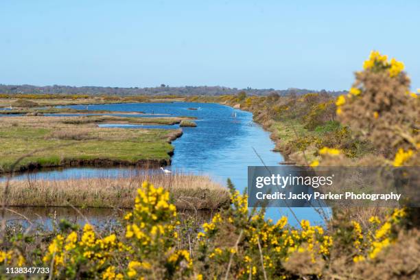 the beautiful coastal marshes and lagoons of the lymington and keyhaven nature reserve on the edge of the solent overlooking the isle of wight - solent stockfoto's en -beelden