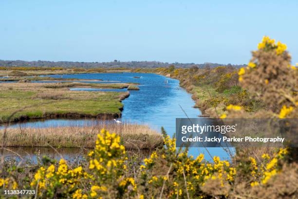 the beautiful coastal marshes and lagoons of the lymington and keyhaven nature reserve on the edge of the solent overlooking the isle of wight - solent stock pictures, royalty-free photos & images