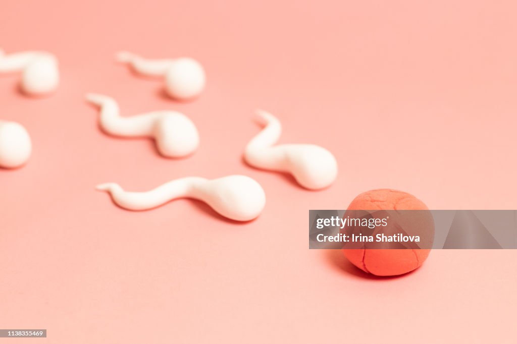 The figure of human sperm and human egg