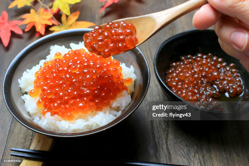 Salmon Roe Rice Salmon Roe Rice Bowl High-Res Stock Photo - Getty Images