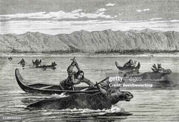 moose hunt on yukon river - moose stock illustrations
