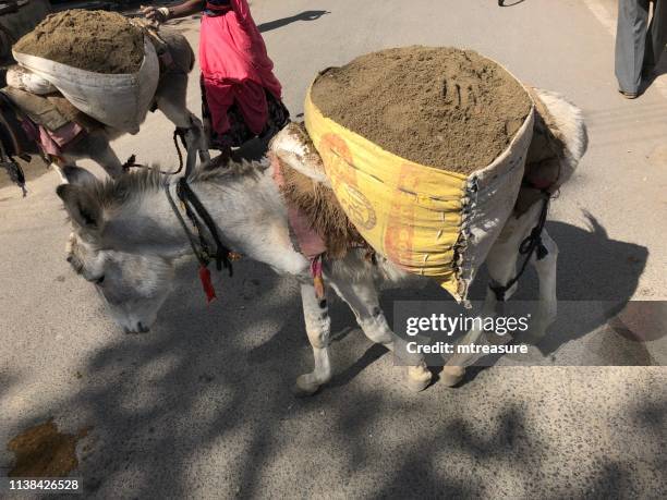 Loading Labour Loading Labour Photos and Premium High Res Pictures - Getty Images