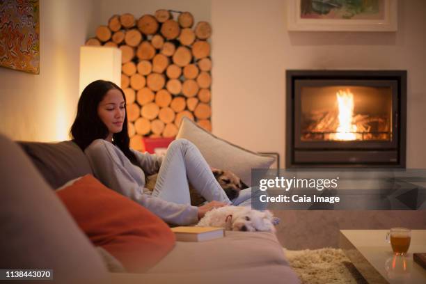 young woman relaxing on sofa with dogs by fireplace - wood burning stove stock pictures, royalty-free photos & images