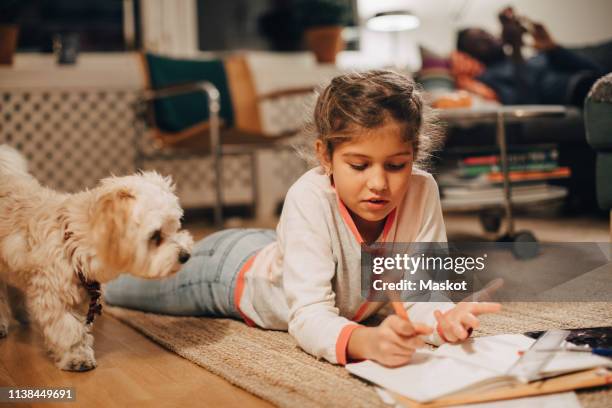 girl writing homework while lying by dog on carpet at home - dog homework stock pictures, royalty-free photos & images