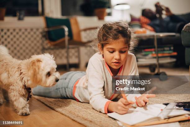 girl writing homework while lying by dog on carpet at home - ligga på mage bildbanksfoton och bilder