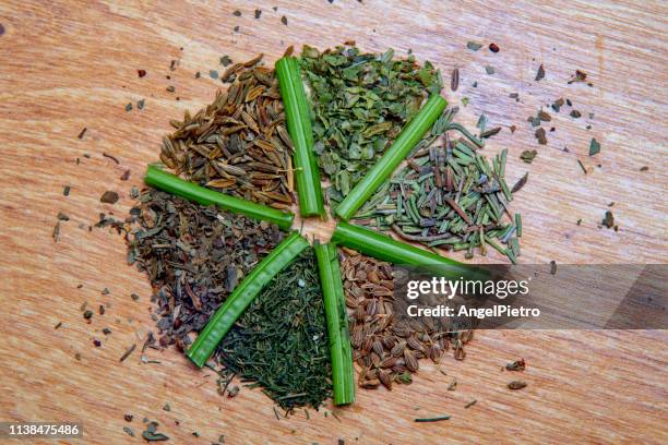 spice wheel: rosemary, thyme, anise, basil, cumin, oregano - especias stock pictures, royalty-free photos & images