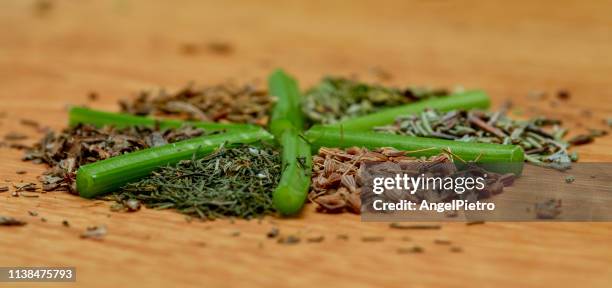 spice wheel: rosemary, thyme, anise, basil, cumin, oregano - especias stock-fotos und bilder