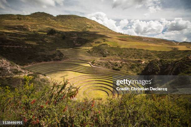 sacred valley - cusco - peru - moray cusco fotografías e imágenes de stock