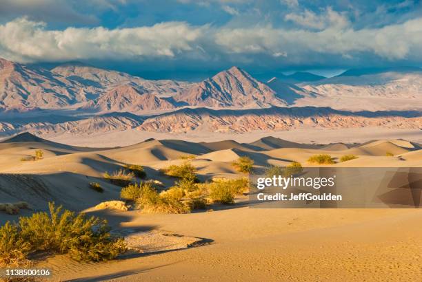mesquite platte zandduinen bij zonsondergang - death valley stockfoto's en -beelden