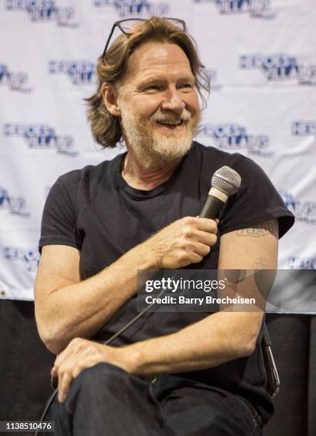 Actor Donal Logue during the Walker Stalker Fan Fest at Donald E. Stephens Convention Center on April 20, 2019 in Chicago, Illinois.