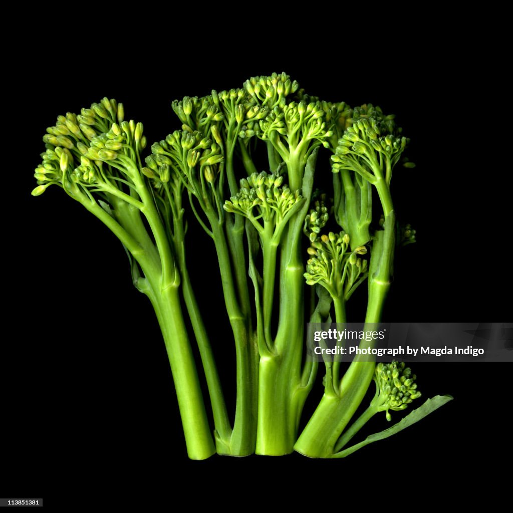 Broccoli