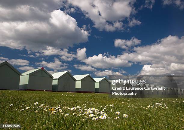 back of beach huts from hove lawns - hove lawns stock pictures, royalty-free photos & images