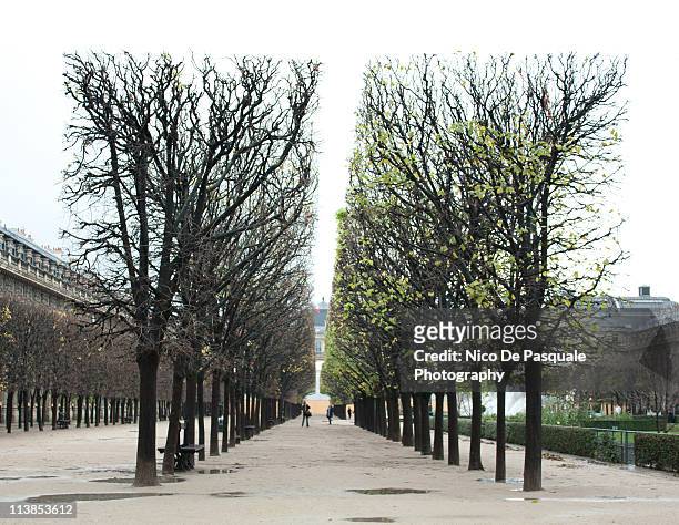jardin du palais royal - jardin du palais royal stock pictures, royalty-free photos & images