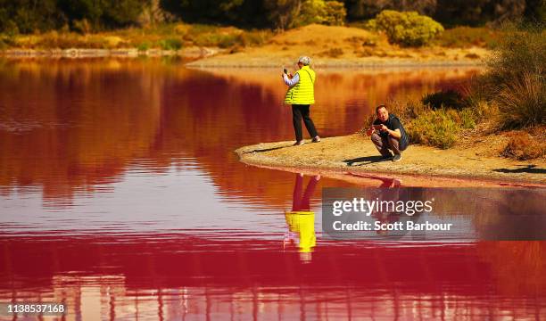 People take photographs of the pink lake at Westgate Park on March 27, 2019 in Melbourne, Australia. The inland lake turns pink in warmer months...