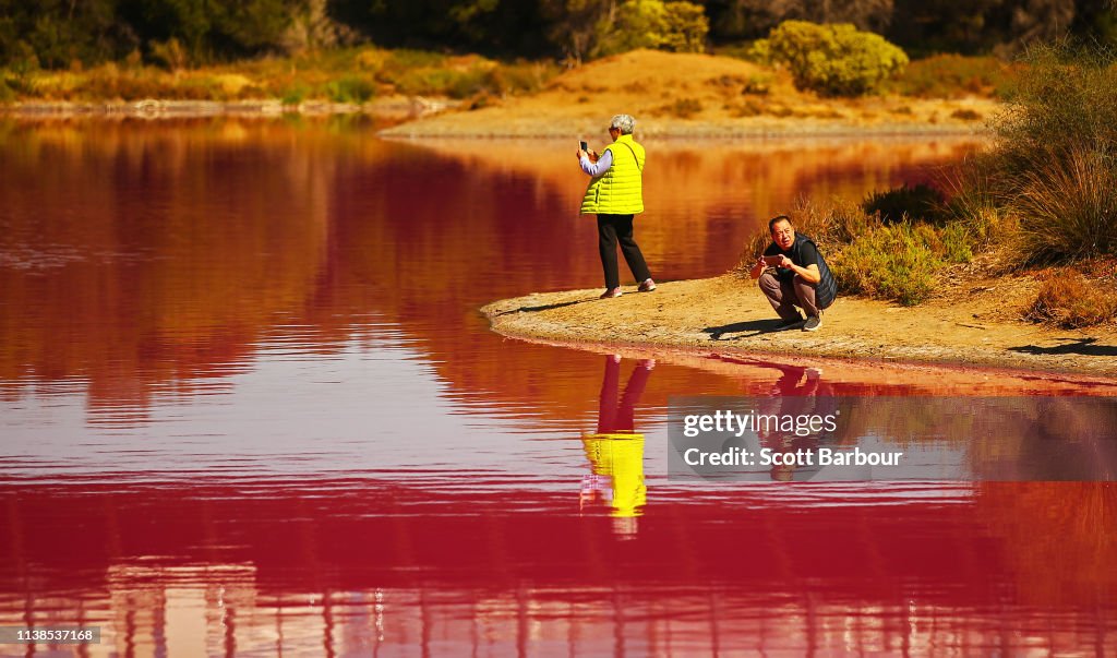 Melbourne's Westgate Park Lake Turns Pink