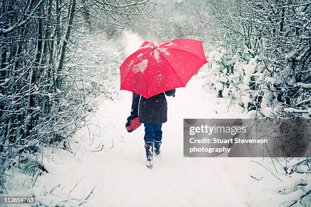 walking in a winter wonderland - snow uk stock pictures, royalty-free photos & images